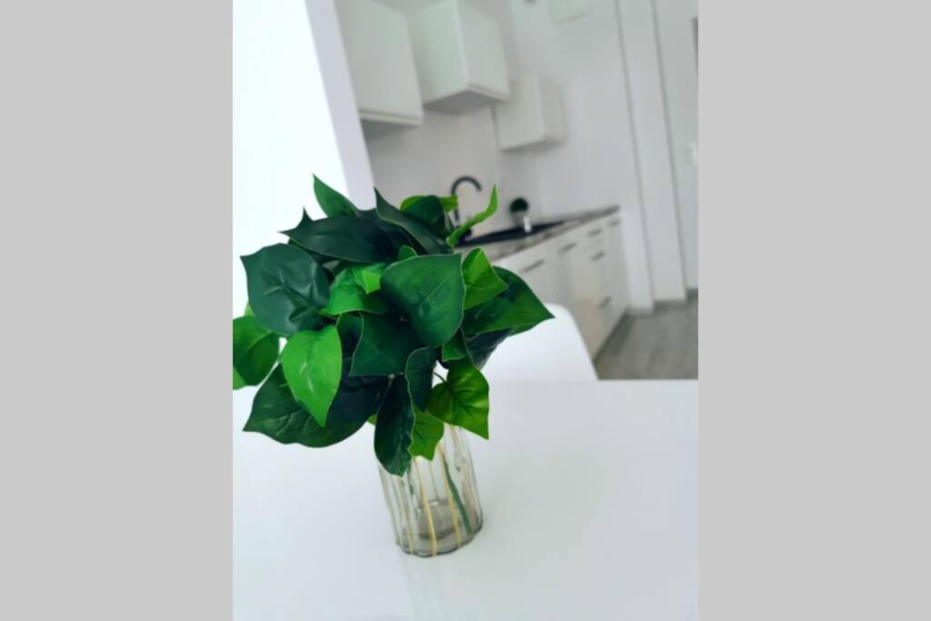 Green Apartment Promenada Gwiazd- Widok Na Morze. Miedzyzdroje Εξωτερικό φωτογραφία